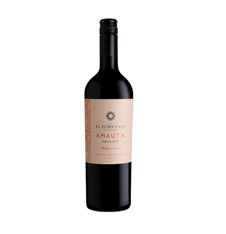 El Porvenir Amauta Absoluto Malbec 2019 Argentina