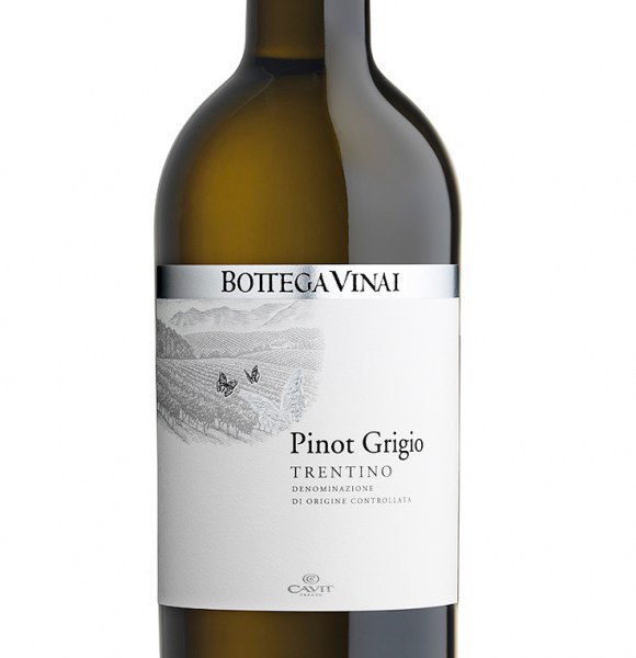 Bottega Vinai Trentino Pinot Grigio 2020 Italy